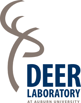 Deer lab Logo PNG